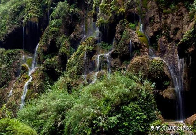排骨怎么炖吃起来又嫩又烂红迪网-汇集最新最热的话题讨论平台